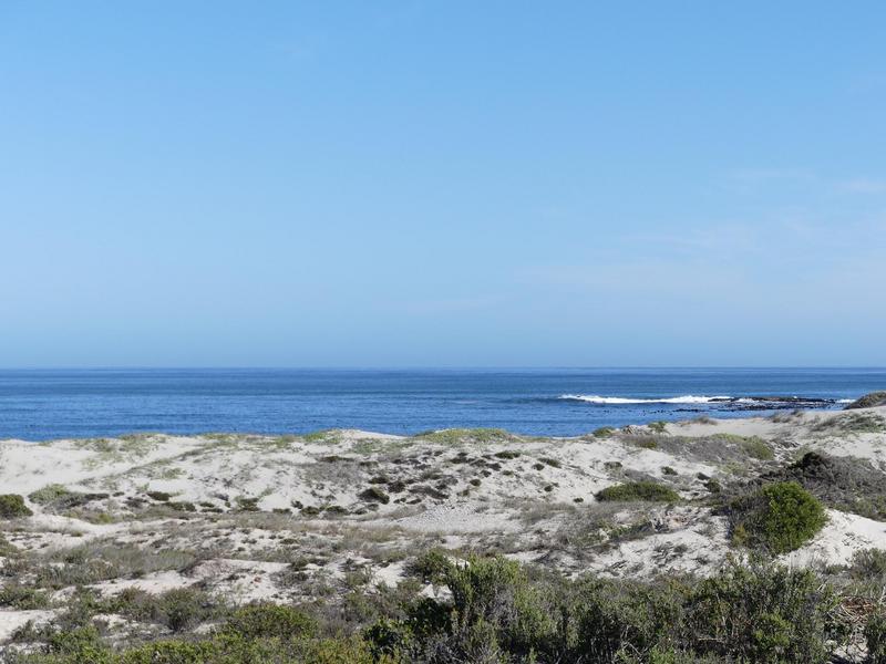 0 Bedroom Property for Sale in Cape St Martin Private Reserve Western Cape